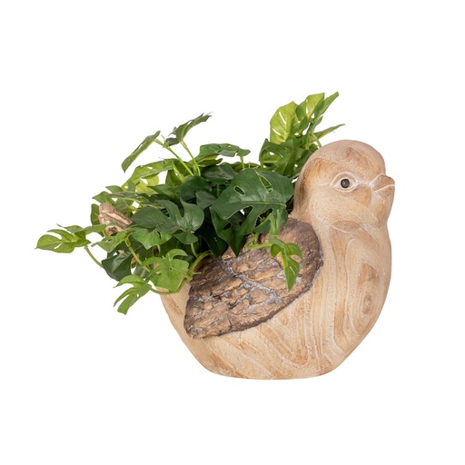 [29904] Tree Bird Pot
