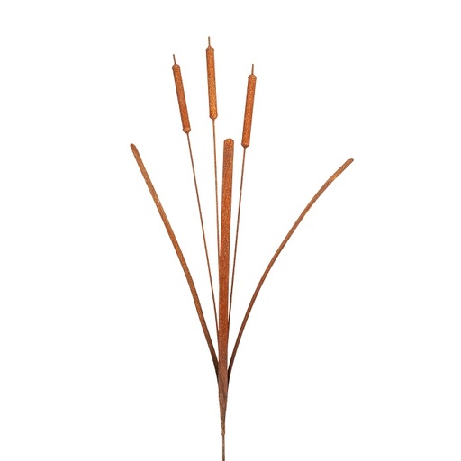 [5601] Stake Bulrush Rust>