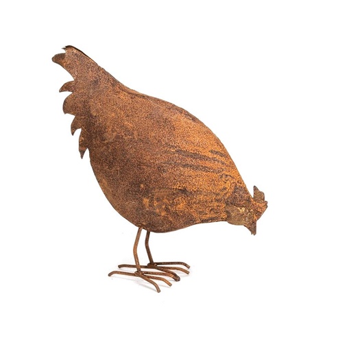 [5694] Chicken Feeding Rust Large