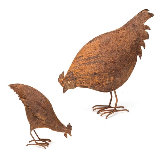[5700] Chicken Feeding Rust Small