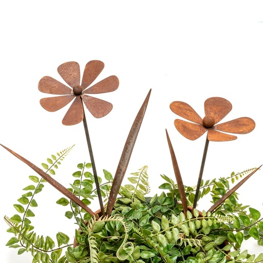 [6042] Sticks Flower Rust Asst