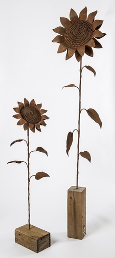 [8152] Stake Sunflower Rust Small