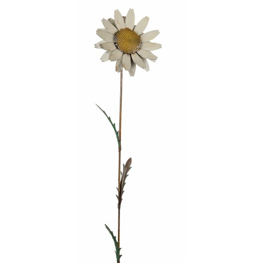 [8657] Stake Daisy White
