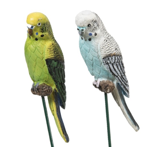 [9654] Budgie on Stick