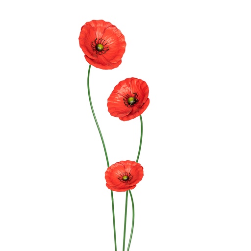 [11671] Stake Poppy Red S/3