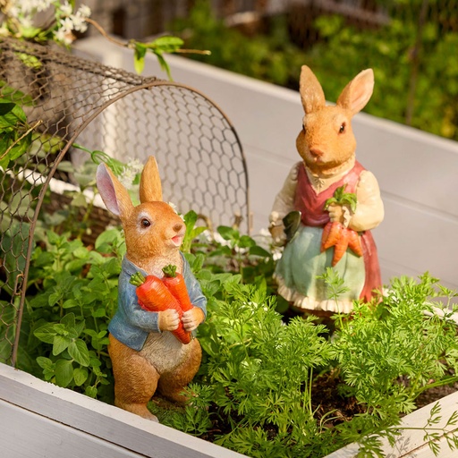 [19233] Rabbit Character Set of 3-+