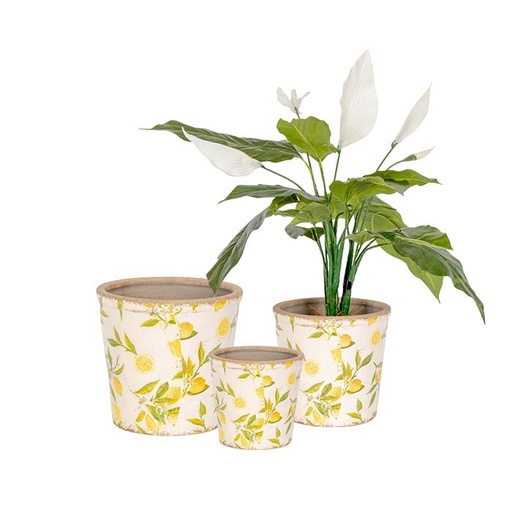 [27030] Pot Lemon Tall S/3-