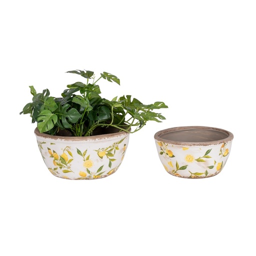 [27047] Pot Lemon Shallow S/2-