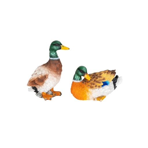 [30009] Duck resin