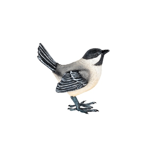 [30016] Willy Wagtail Resin